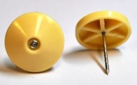 YELLOW 31MM PINS